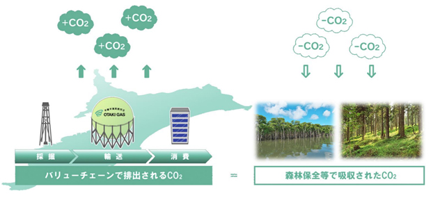 国内外での森林保全事業